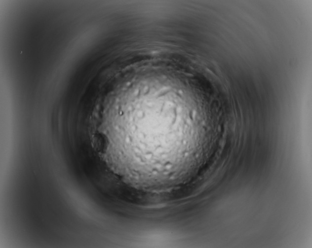X0000093160527200710101156