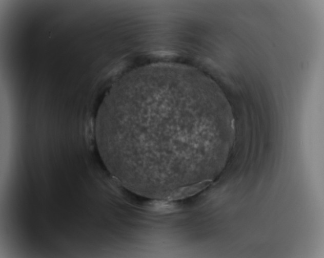 X0000093160528200710101156