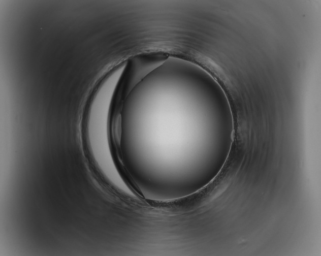 X0000093160530200710101155