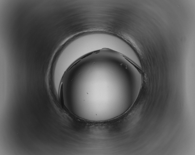X0000093160532200710101156