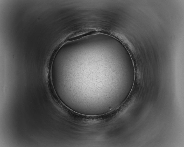 X0000093160533200710101156