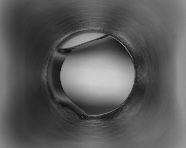 X0000093160536200710101156