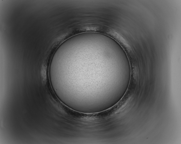 X0000093160537200710101156