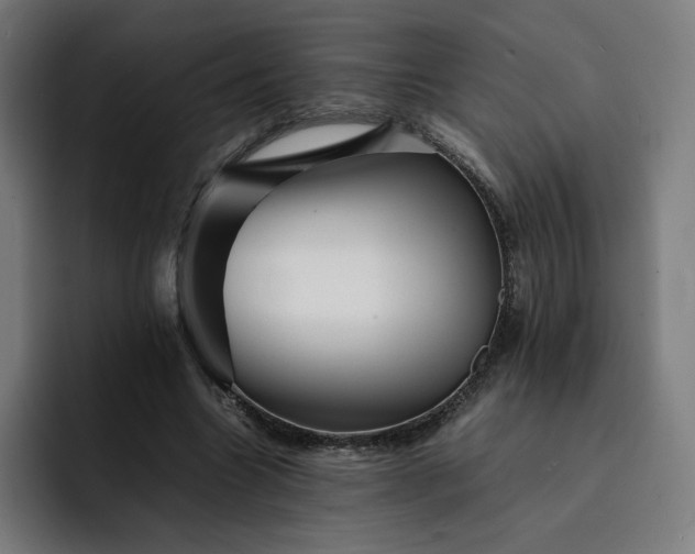 X0000093160538200710101156