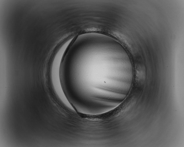 X0000093160539200710101156