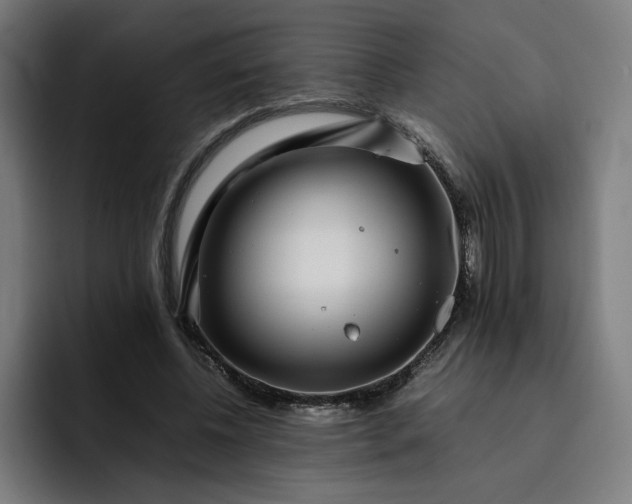 X0000093160540200710101156