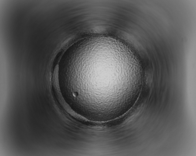 X0000093160542200710101156