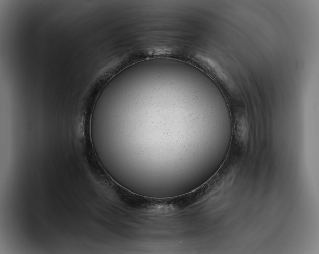 X0000093160543200710101156