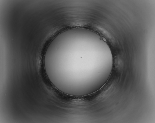 X0000093160544200710101156