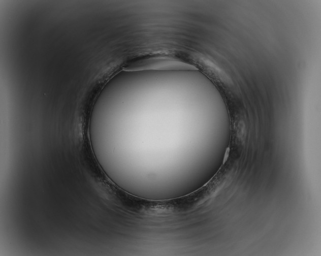 X0000093160546200710101156