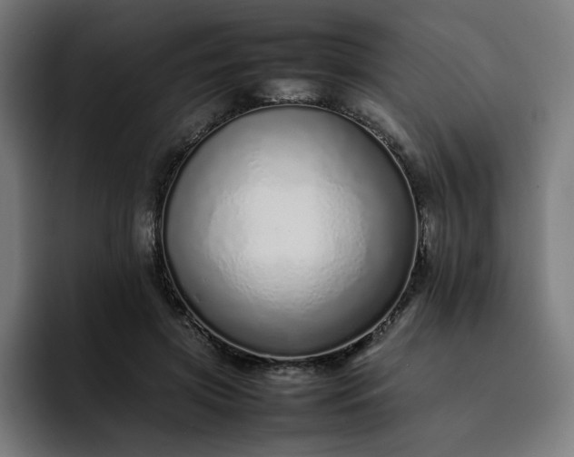 X0000093160549200710101156