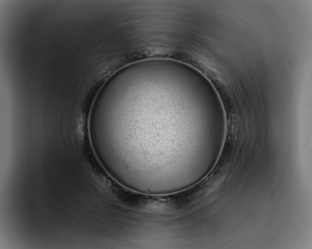 X0000093160550200710101156