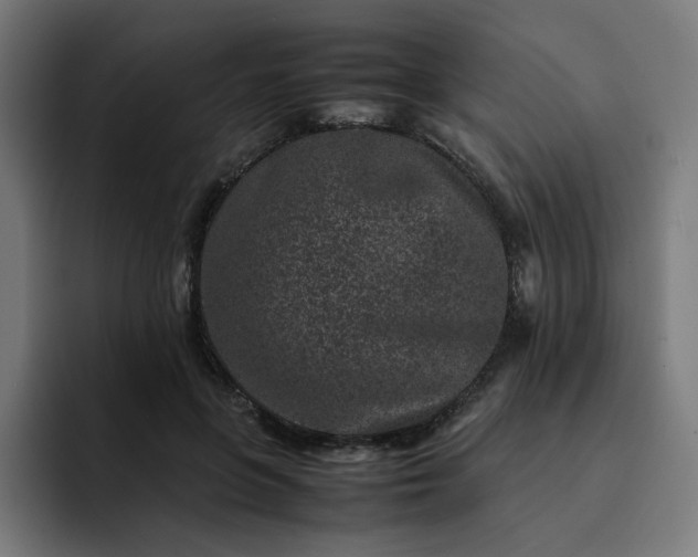 X0000093160551200710101156