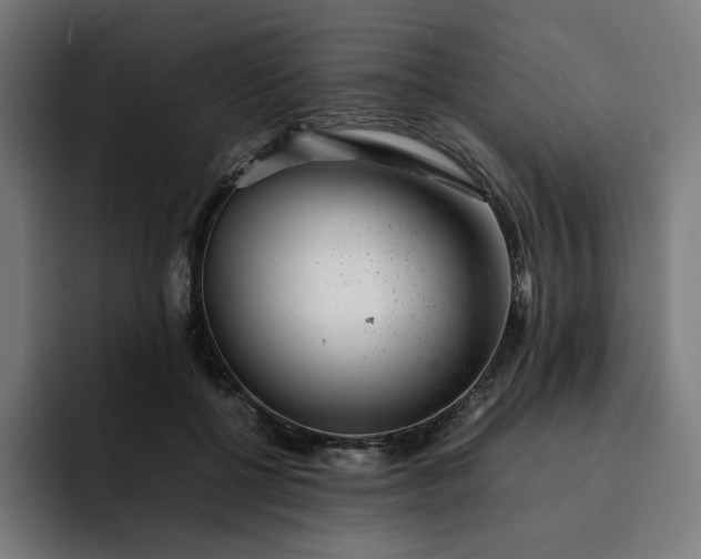 X0000093160552200710101156