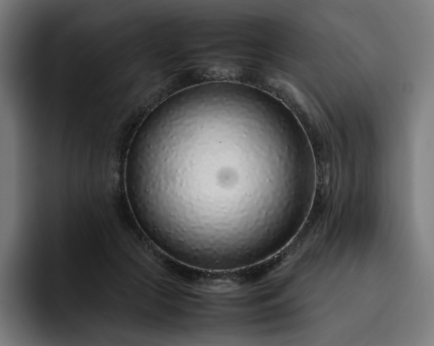 X0000093160553200710101156