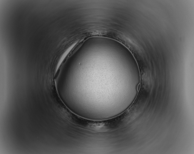 X0000093160554200710101156