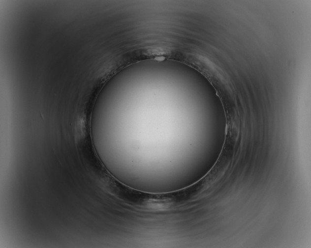 X0000093160556200710101156