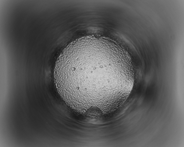 X0000093160557200710101156