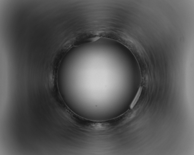 X0000093160558200710101156