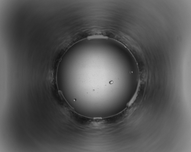 X0000093160560200710101156