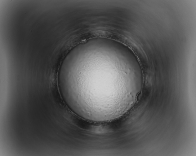 X0000093160561200710101156