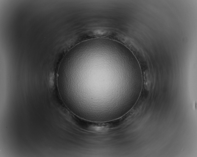 X0000093160563200710101156