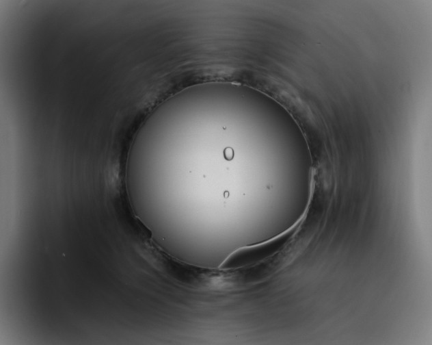 X0000093160564200710101156