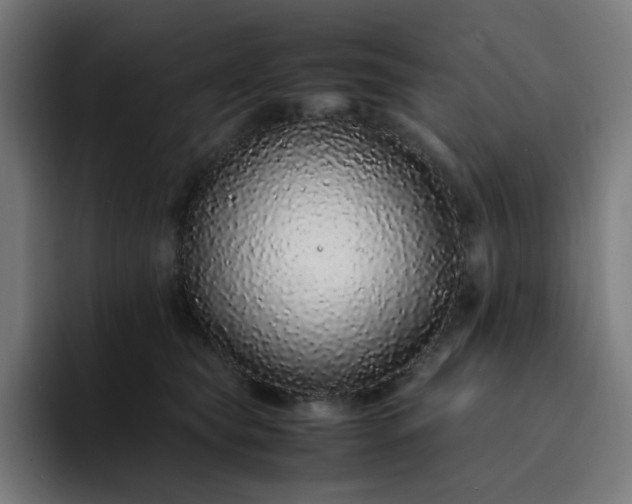 X0000093160565200710101156