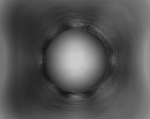 X0000093160567200710101156