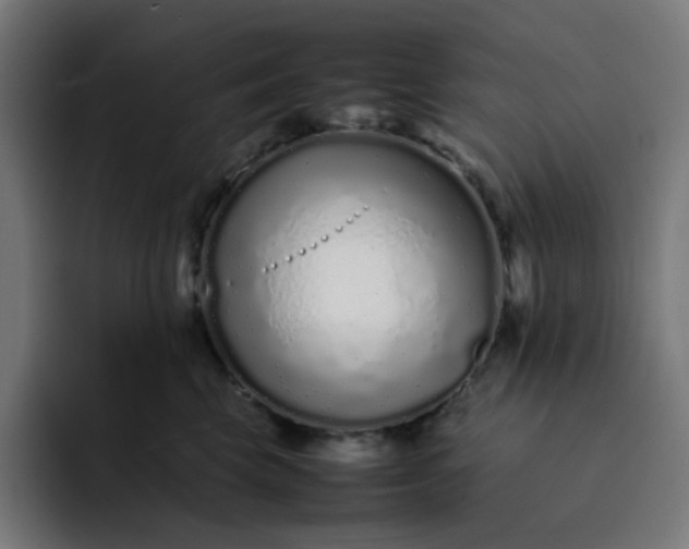 X0000093160569200710101156