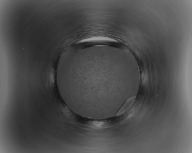 X0000093160570200710101156