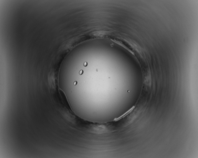 X0000093160572200710101156