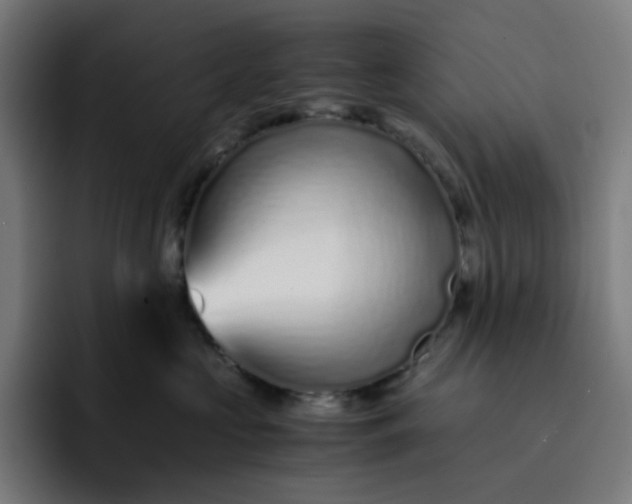 X0000093160573200710101156