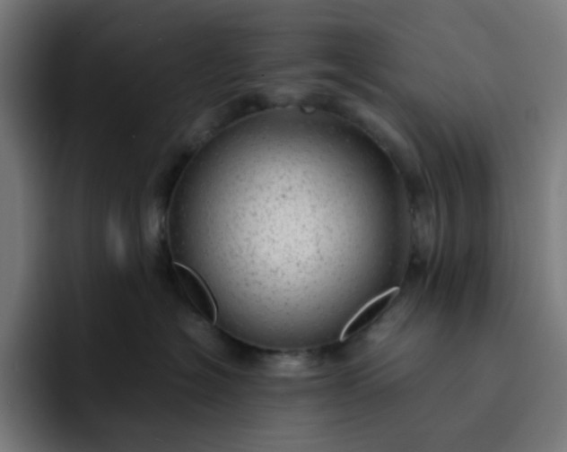 X0000093160574200710101156