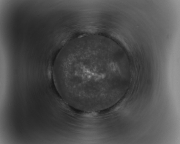 X0000093160576200710101156