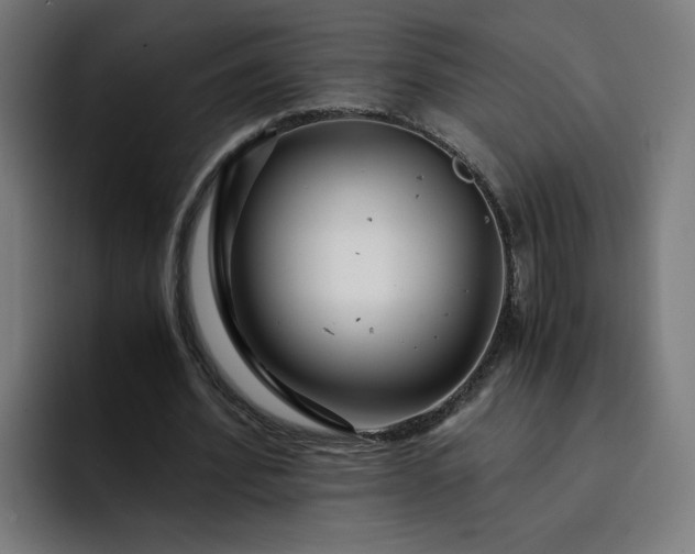 X0000093160580200710101155