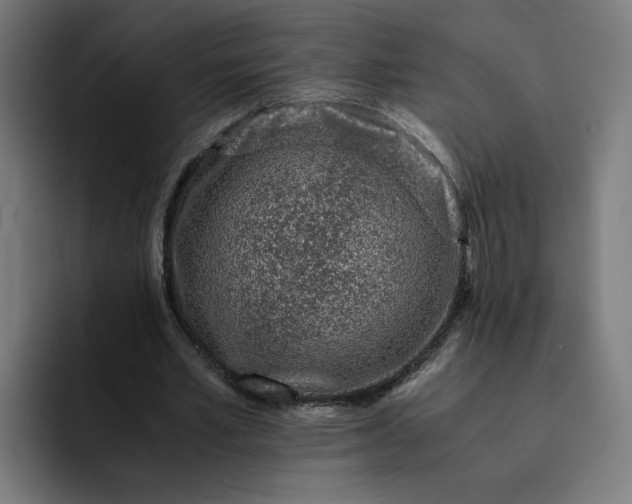 X0000093160581200710101155