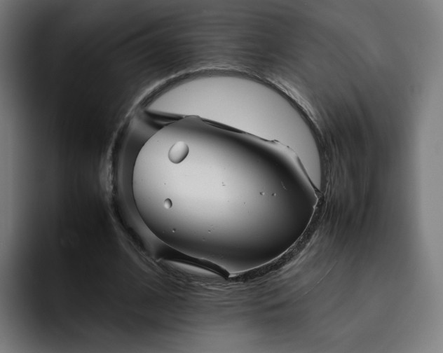 X0000093160584200710101155