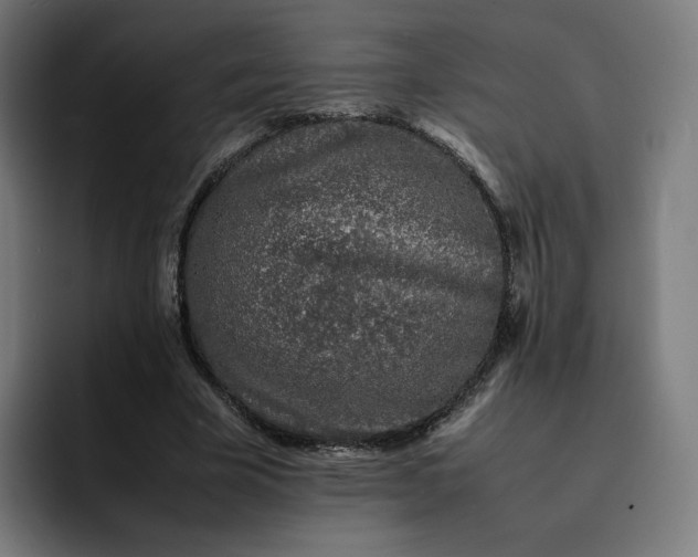 X0000093160585200710101155