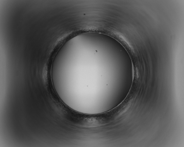 X0000093160588200710101155