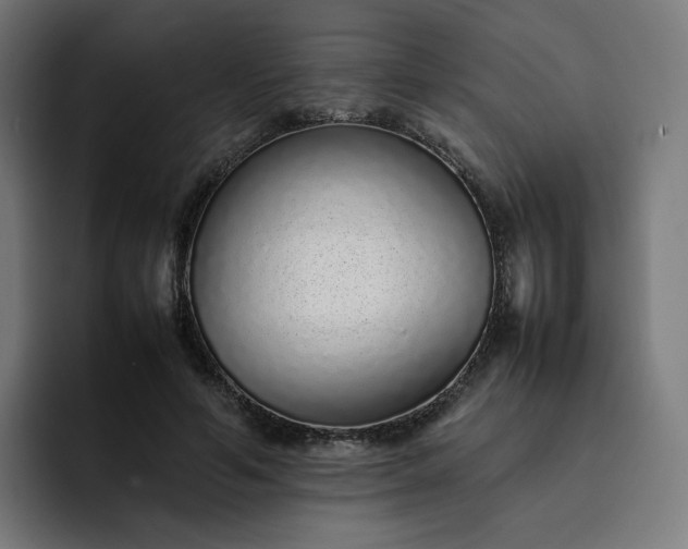 X0000093160594200710101155