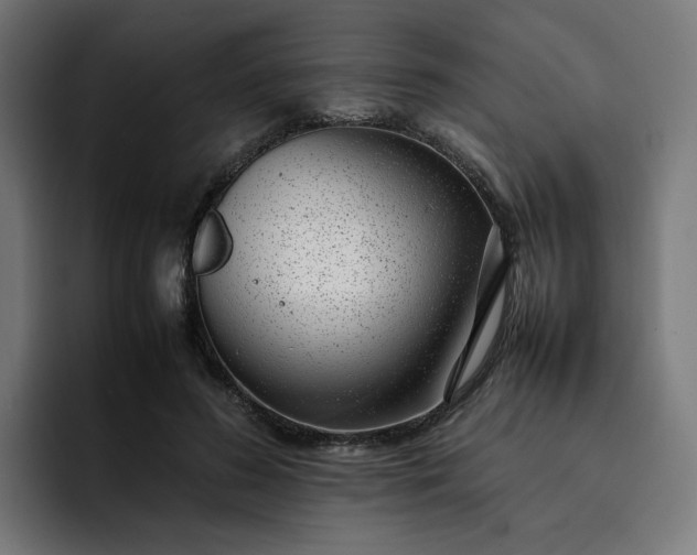 X0000093160596200710101155