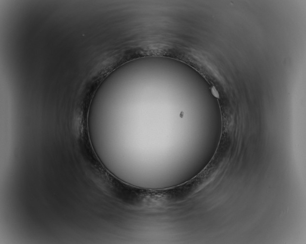X0000093160599200710101155