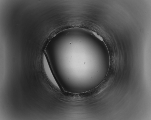 X0000093160600200710101155