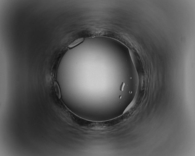 X0000093160601200710101155