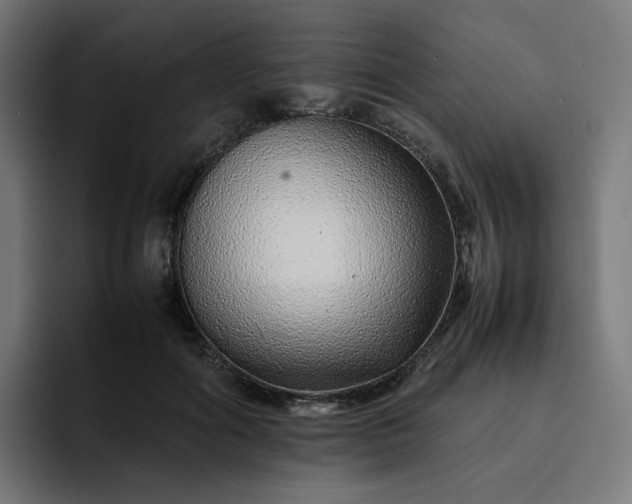 X0000093160602200710101155