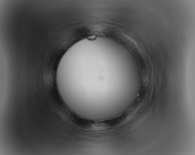X0000093160603200710101155