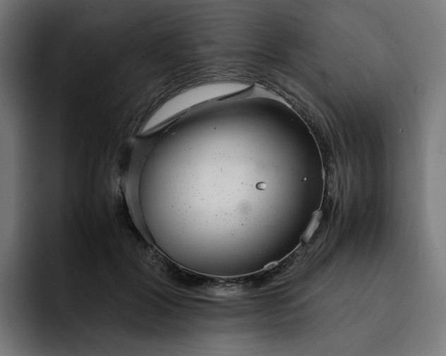 X0000093160604200710101155