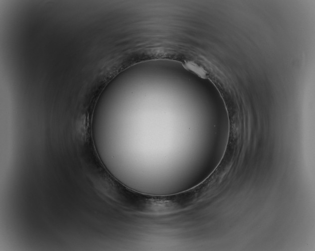 X0000093160605200710101155