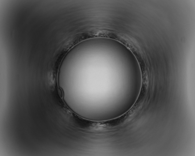 X0000093160607200710101155